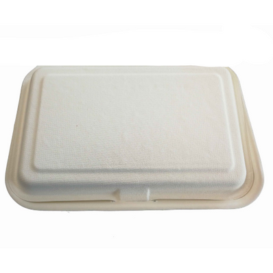 Contenitore Asporto Biodegradabile 2 Scomparti